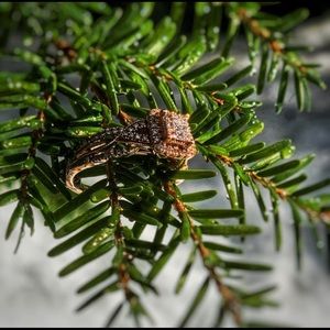 10K Rose Gold Engagement Ring 1/2ct TW